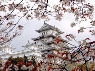 Интерес к Японии со стороны российских туристов вырос