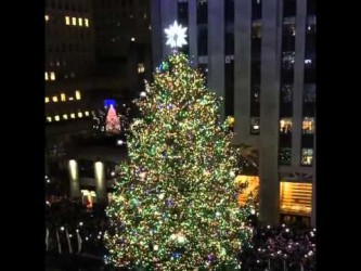 Новость дня в туризме - В Нью-Йорке, США, установили гигантскую елку