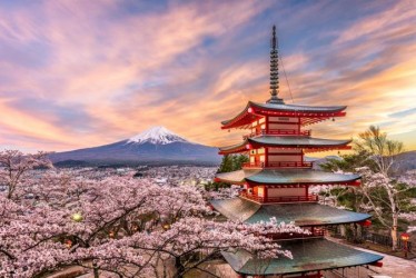 Рост на 25% тур потока в Японию из России - новости туризма