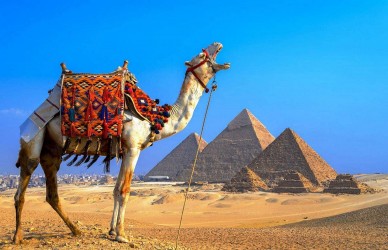 В Египте открылась служба помощи туристам на русском языке