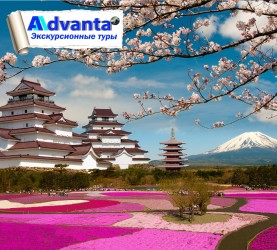 Цветение сакуры в Японии-2